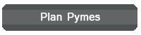 plan pyme